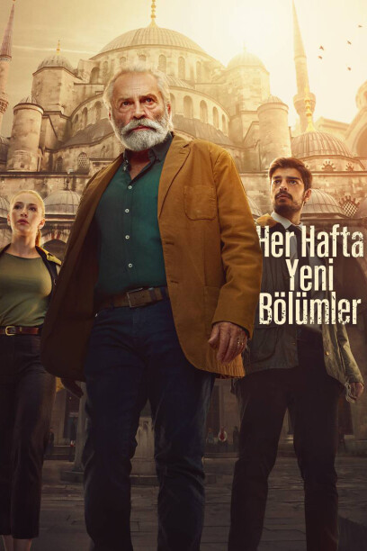 The Turkish Detective